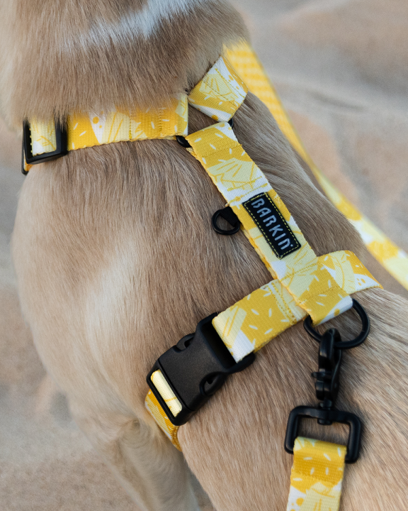 Szelki typu guard Pina colada Piknik BARKIN