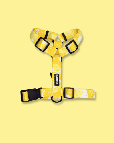Szelki typu guard Pina colada BARKIN.png