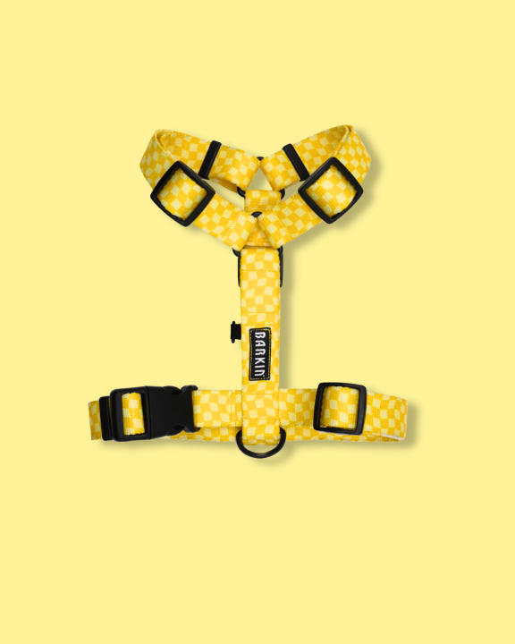 Szelki typu guard Piknik BARKIN.png