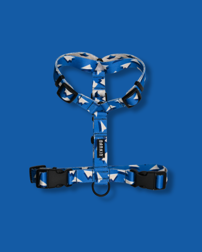 Szelki typu guard Awiator BARKIN.png