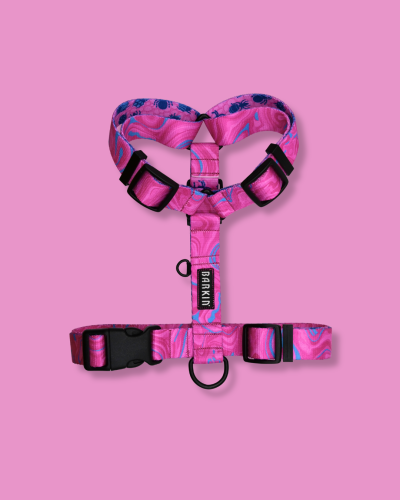 Szelki typu guard Bubblegum BARKIN.png