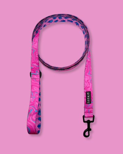 Smycz miejska Bubblegum BARKIN.png