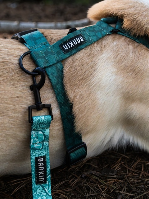Szelki typu guard Mojito/Malachit
