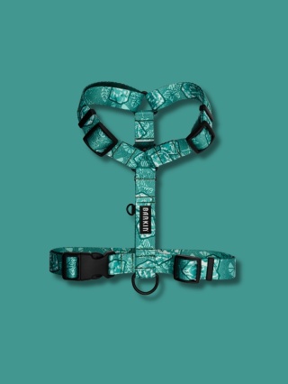 Szelki typu guard Mojito/Malachit